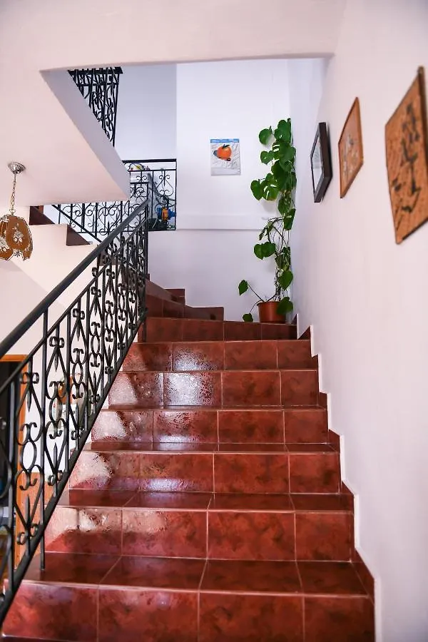 Lägenhet Guest House Luli Berat Albanien