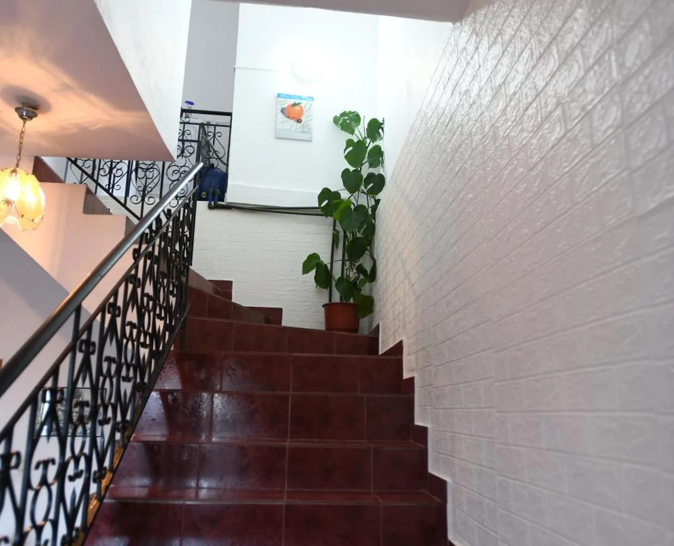 Guest House Luli Berat 0*,